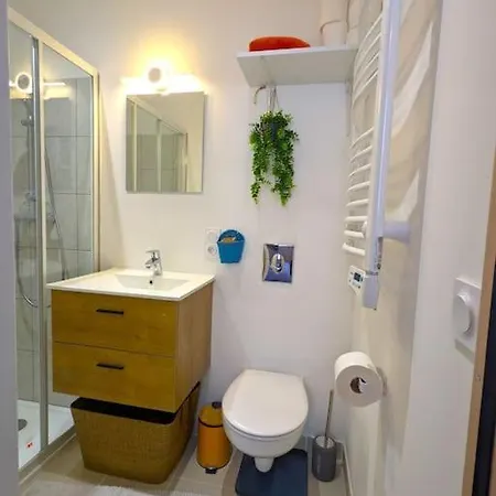 Agreable Coeur De Apartamento